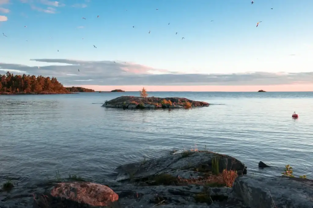 Sunset over small bird islet in Lake Vänern, Sweden, featuring serene water and flying birds in a vibrant summer evening scene.