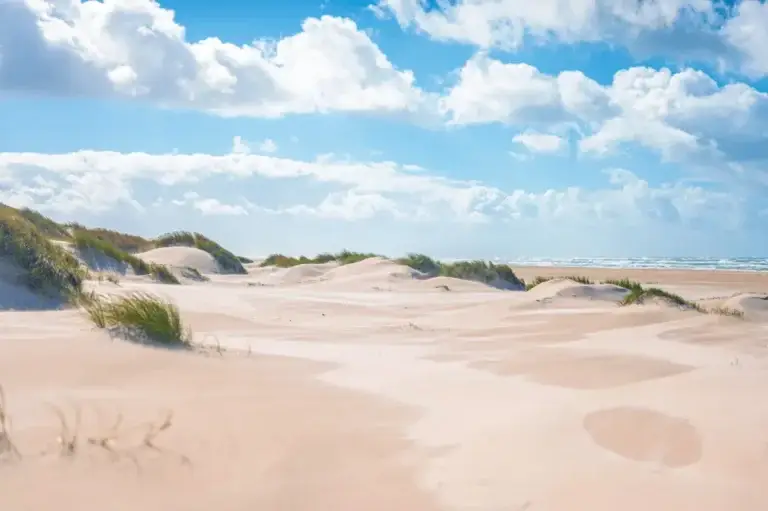 Serene sandy beach and dunes at the North Sea coast in Skagen, Denmark, showcasing natural beauty ideal for peaceful getaways.