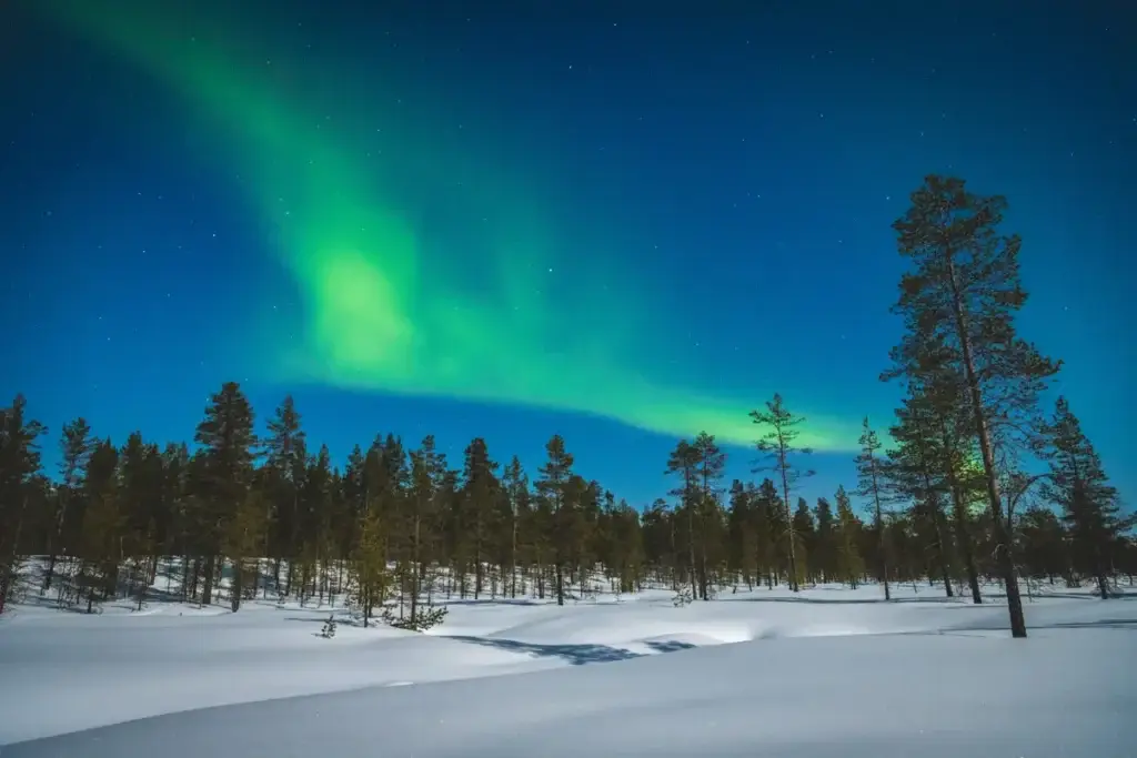 Northern lights illuminating the night sky above a snow-covered pine forest in Finland near the Arctic Circle