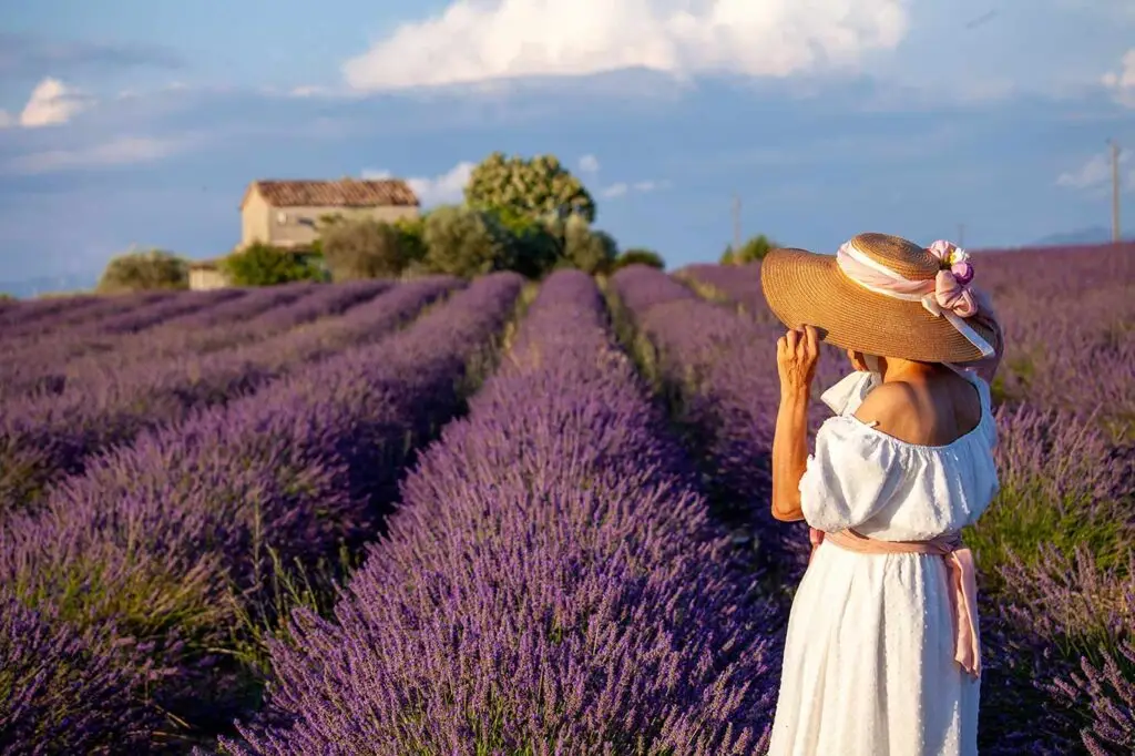 Woman in white dress admiring the stunning lavender fields on a sunny day in France, perfect for picturesque tours.