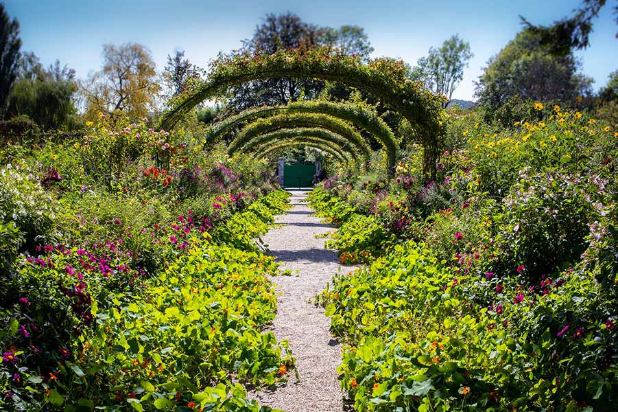Vibrant pathway through Claude Monet's Gardens in Giverny, France, showcasing lush green arches and colorful flowers on a sunny day.
