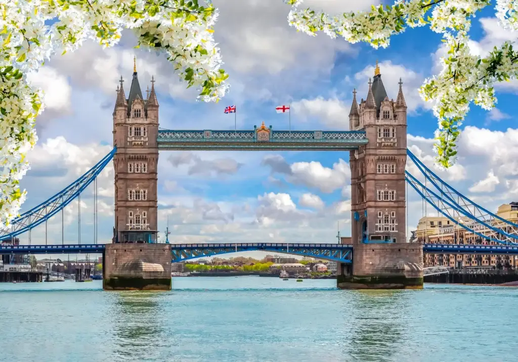 Spring view of London Tower Bridge over the Thames River framed by blooming trees, UK.
