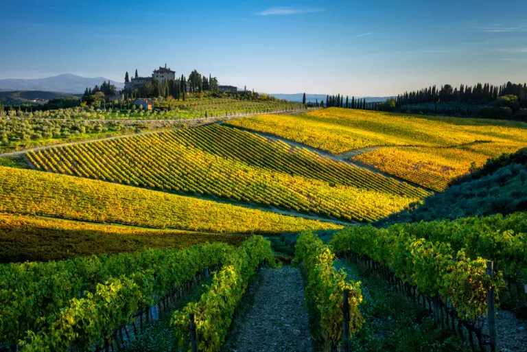Scenic vineyard landscape in San Donato in Perano, Italy with rolling hills, olive trees, and a historic villa under a clear blue sky, ideal for Tuscany wine tours and countryside travel experiences