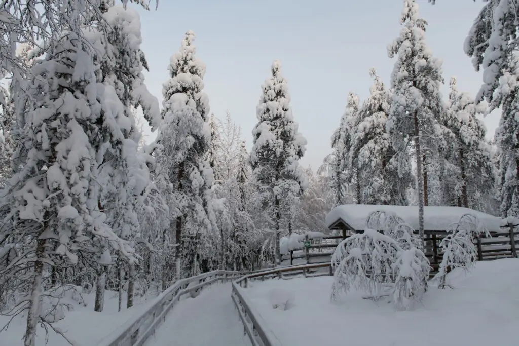 Snow-covered forest path and wooden fences at Ranua Zoo in winter, Lapland Finland tourism attraction