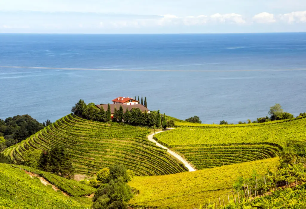 Scenic vineyard overlooking the Bay of Biscay in Zumaia, Spain with rolling green hills, coastal views, and a traditional farmhouse surrounded by lush countryside