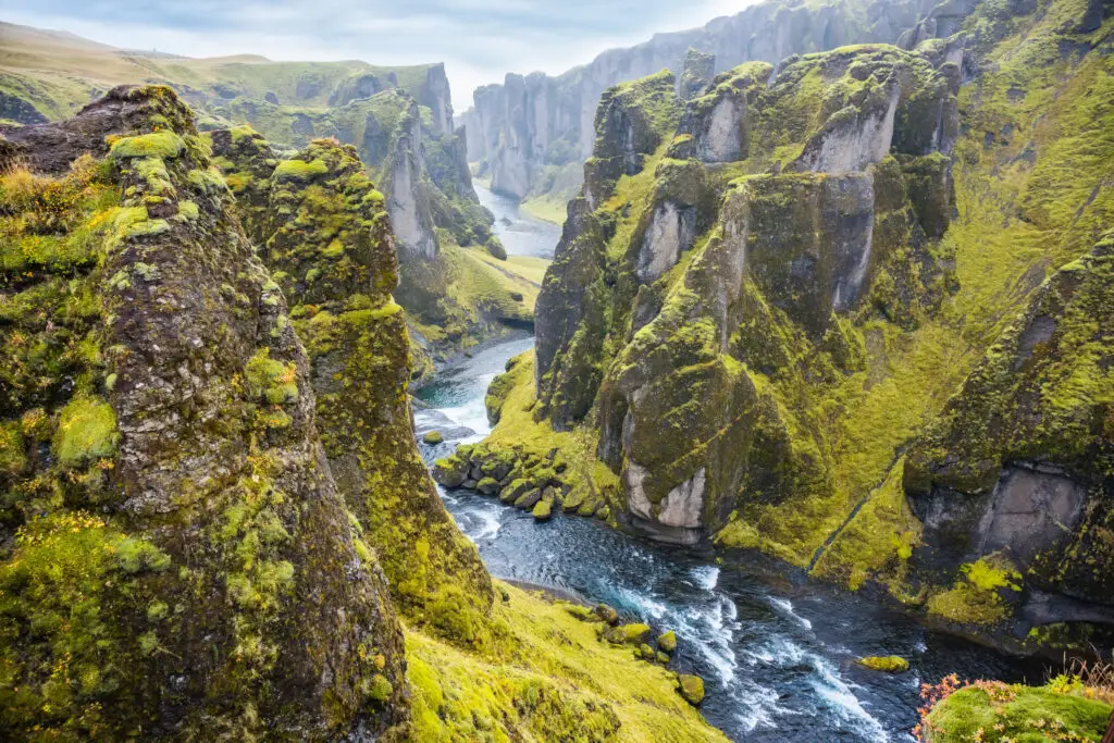 Fjaðrárgljúfur Canyon in Iceland with dramatic moss-covered cliffs and winding river, a popular natural attraction for travelers and sightseeing tours in South Iceland