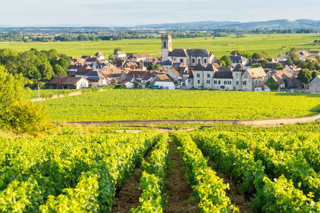 Vineyards and village landscape in Pommard, France, showcasing the Burgundy wine region and scenic countryside views