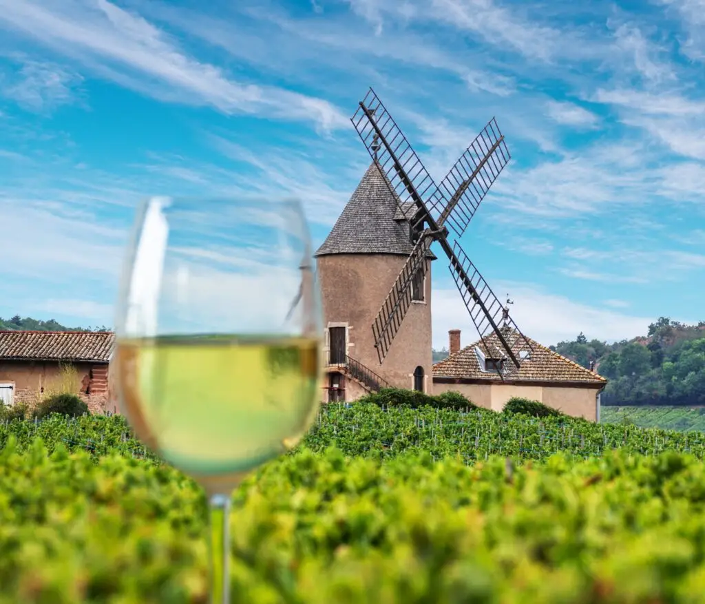 Windmill overlooking vineyards with a glass of white wine in Moulin-à-Vent, France, showcasing the Beaujolais wine region and scenic countryside