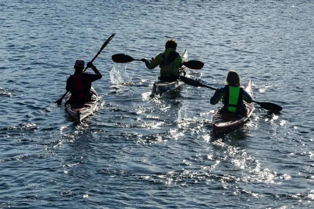 Tourists kayaking on the water in Copenhagen Denmark during a guided outdoor adventure tour