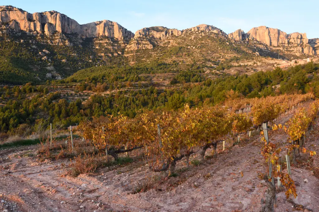 Sunset over the vineyards of the Priorat wine region in Catalonia, Spain, with rocky mountains and lush green hills in the background